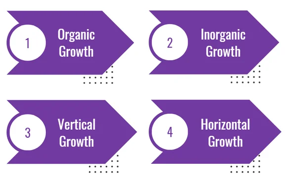 Business Growth Strategy